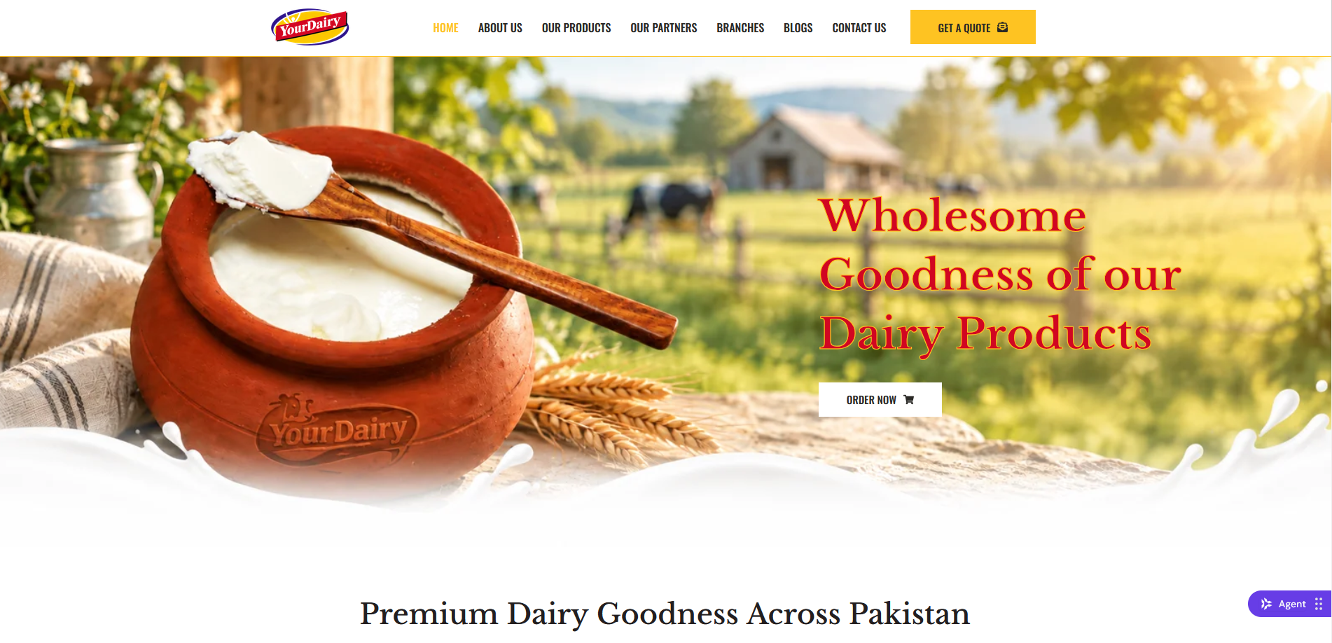 yourdairy 1